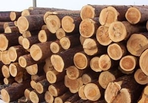Практика распиловки  - от древесины до готового продукта