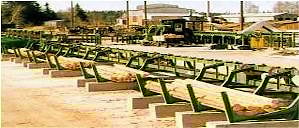 Линия сортировки и окорки бревен на 23 кармана