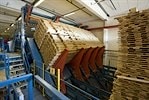 Линии окорки и сортировки